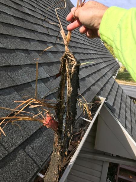 Gutter Cleaning Allentown PA 08