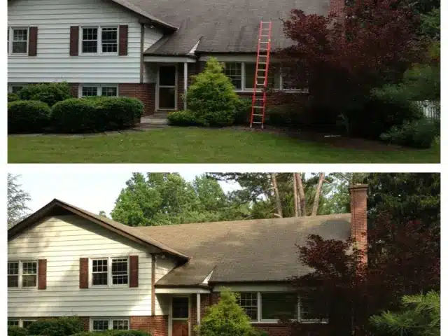 Before and After Roof Washing 