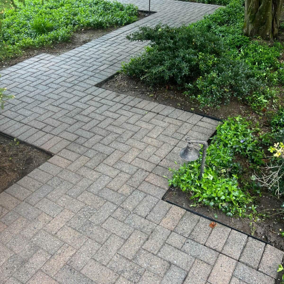 clean concrete walkpath after expert pressure washing service in allentown pa