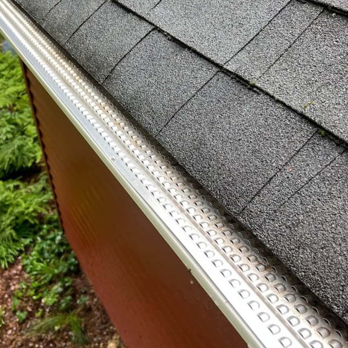 clean house gutter after pro gutter cleaning service in allentown pa
