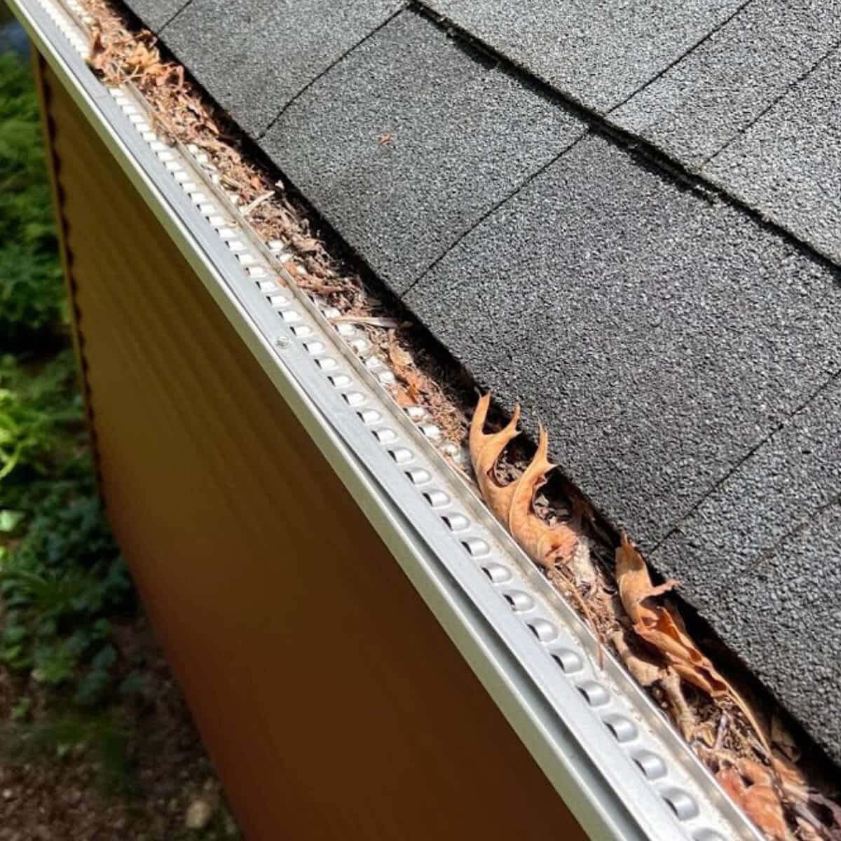 clogged gutter needing expert gutter cleaning service in allentown pa