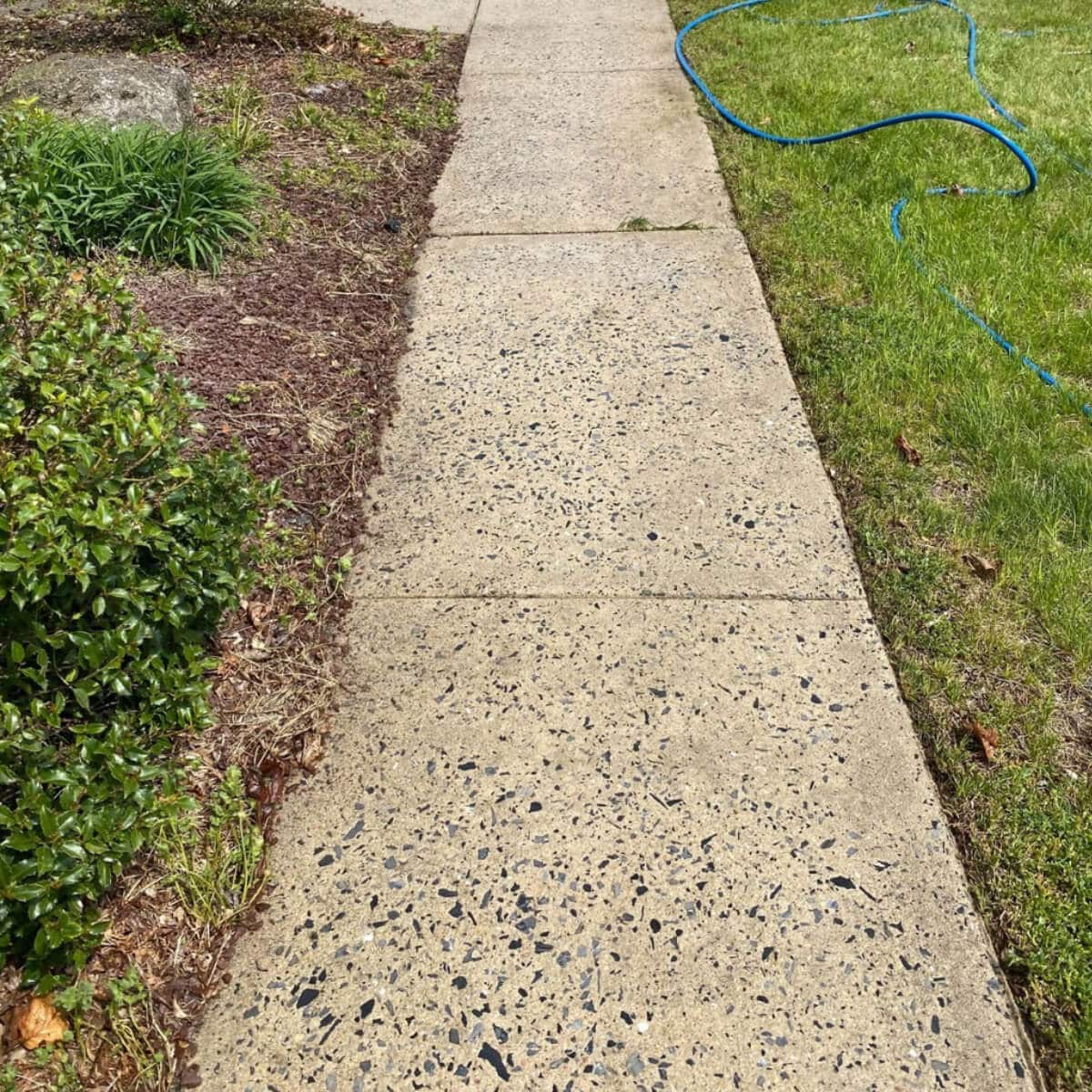 concrete sidewalk complete clean after pressure washing service in lansdale pa